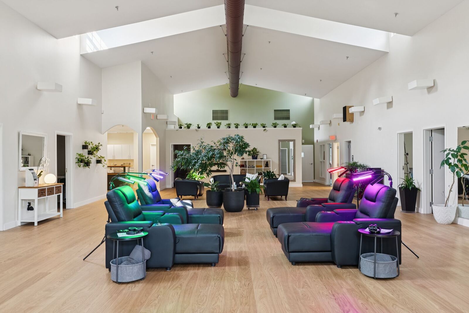 Red light therapy treatment area